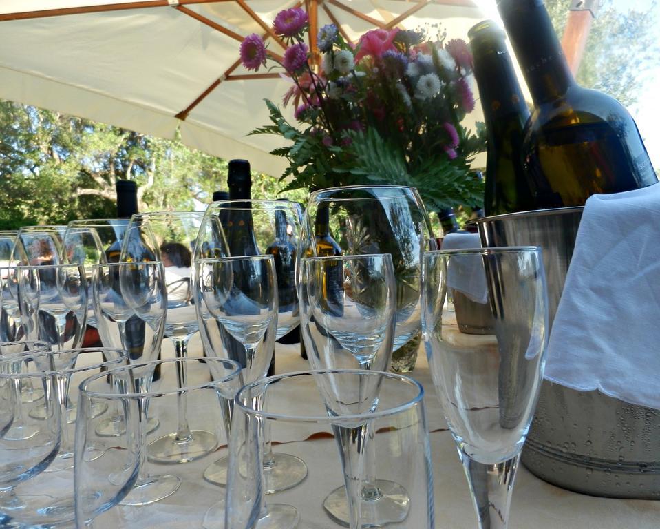Tenuta Terre Di Bosco Oasi Di Relax Nel Cilento San Giovanni a Piro Extérieur photo