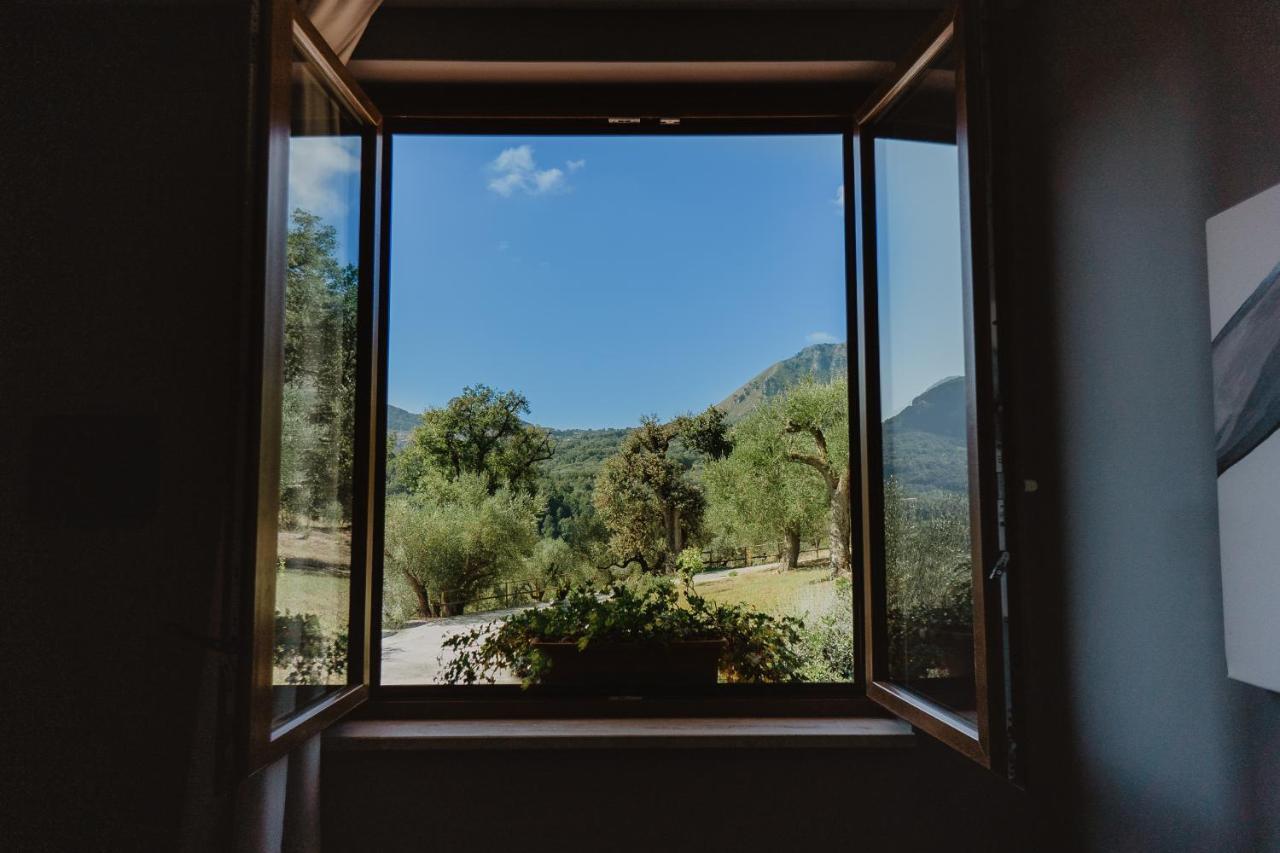 Tenuta Terre Di Bosco Oasi Di Relax Nel Cilento San Giovanni a Piro Extérieur photo